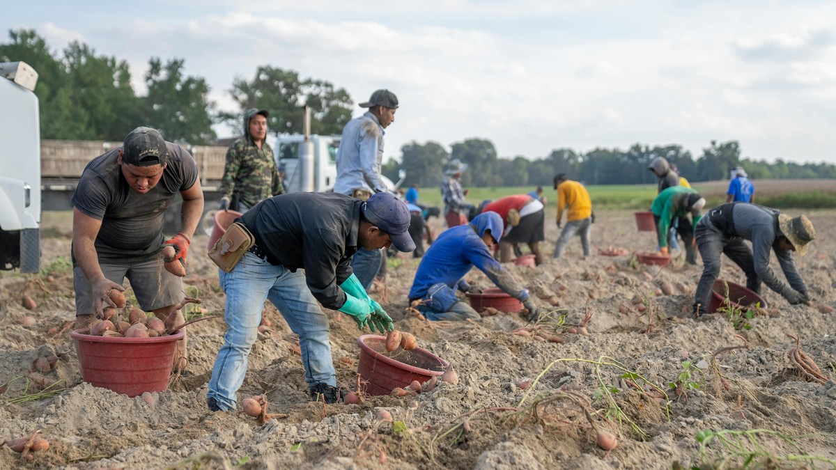 lavoratori agricoli