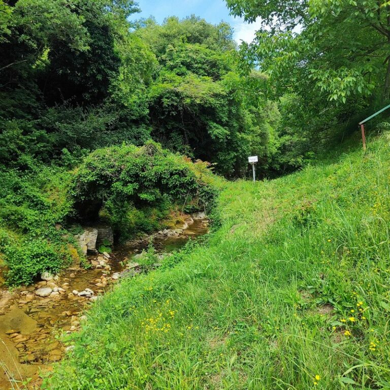 La riscoperta del ponte romanico sul Fosso di Valiano riportato alla luce grazie ai recenti lavori di manutenzione