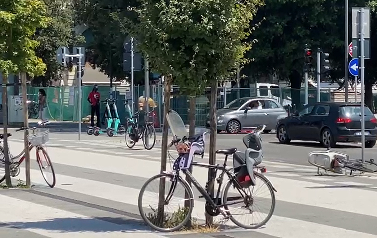 Bici legate agli alberi