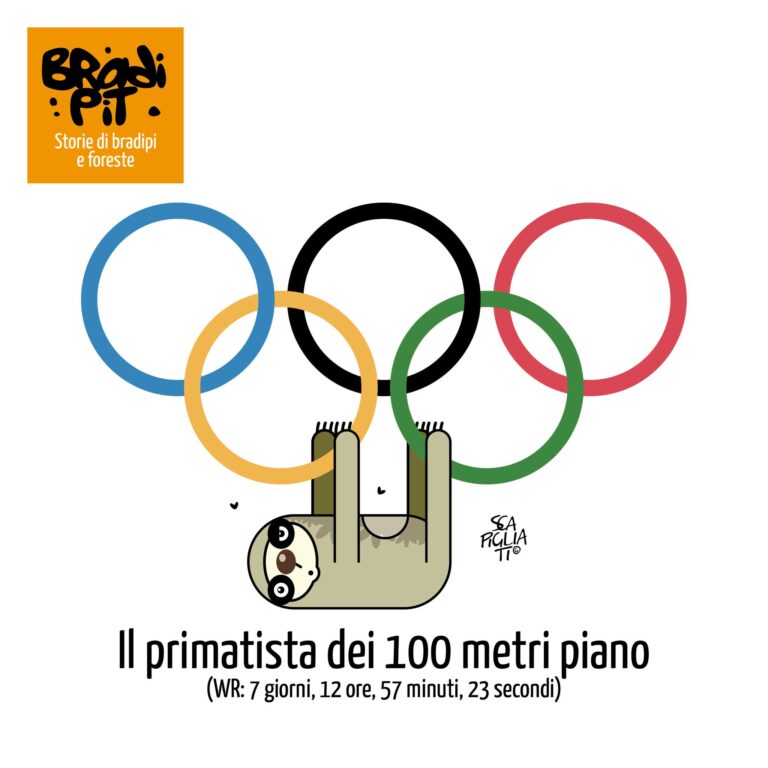 Chi ha stabilito la regola?…