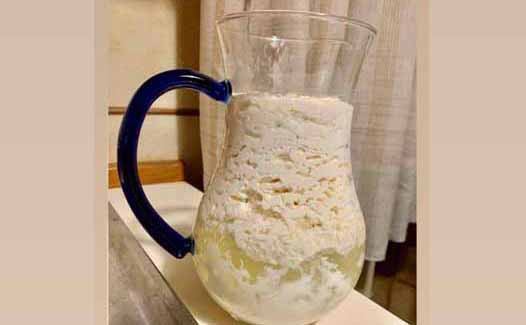 Kefir