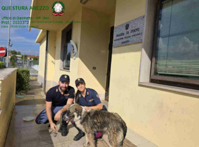 Cane si perde in autostrada: salvato dalla Polizia di Stato