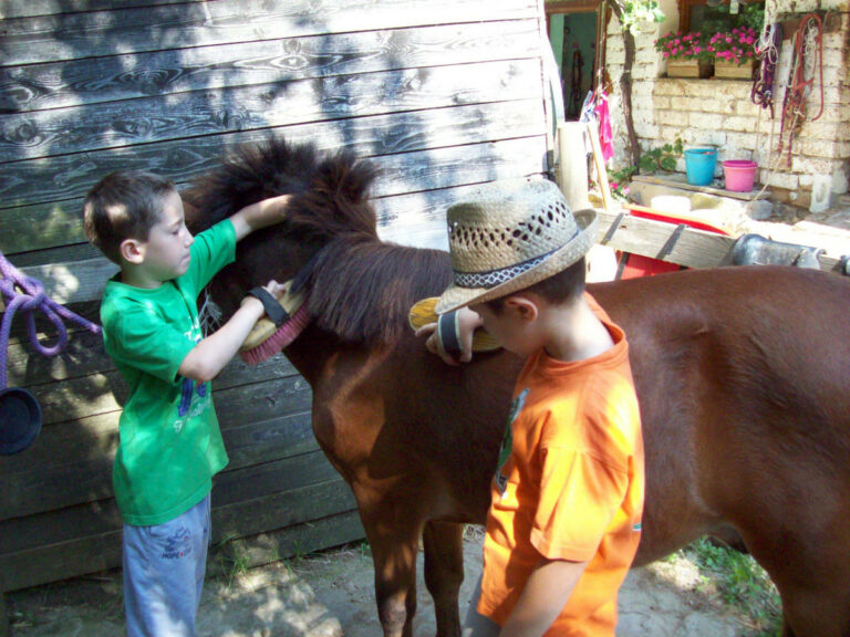 Campeggio per la Giostra: una settimana di avventura a cavallo