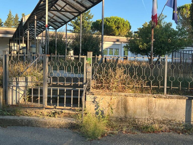Benvenuti a Quarata: la scuola trasformata in giungla urbana: ma non preoccupatevi, l’erba si taglia da sola!