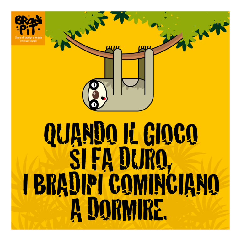 Non violenza