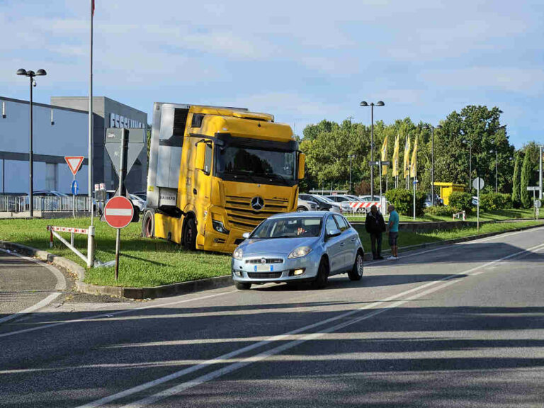 Avventure all’Esselunga: quando il camionista diventa giardiniere per una notte