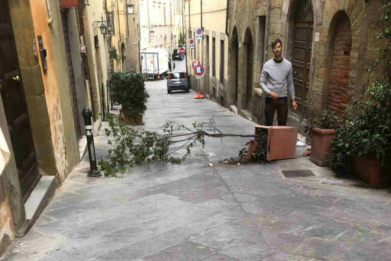 Un altro genio all’opera: devastazione creativa in centro
