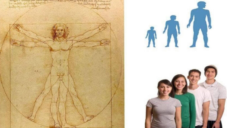 Altezza e metabolismo