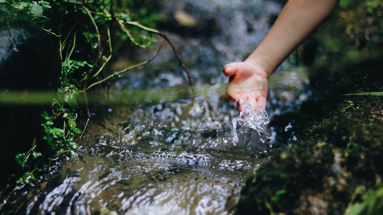Acqua dei fossi