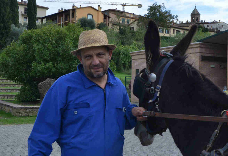 Fotogallery: Castiglion Fibocchi, la rievocazione della Fiera del Bestiame
