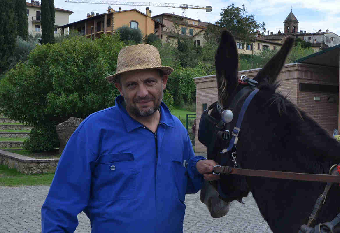 Castiglion Fibocchi Madonna del Rosario-Rievocazione Fiera del Bestiame (12)