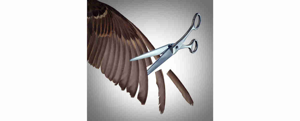 Ico-Le tarparelle