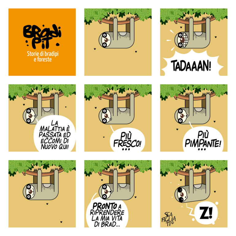 Spero di… Z!