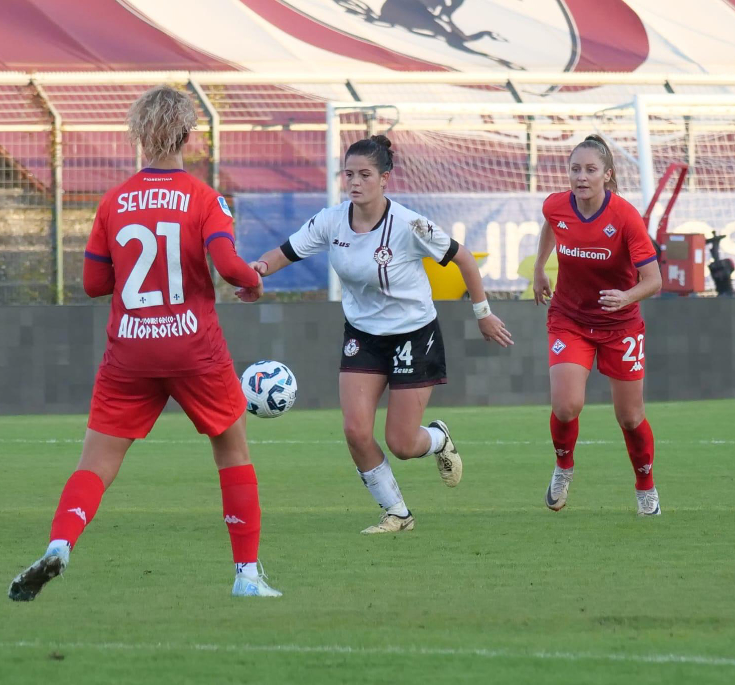 Acf Arezzo-Fiorentina1