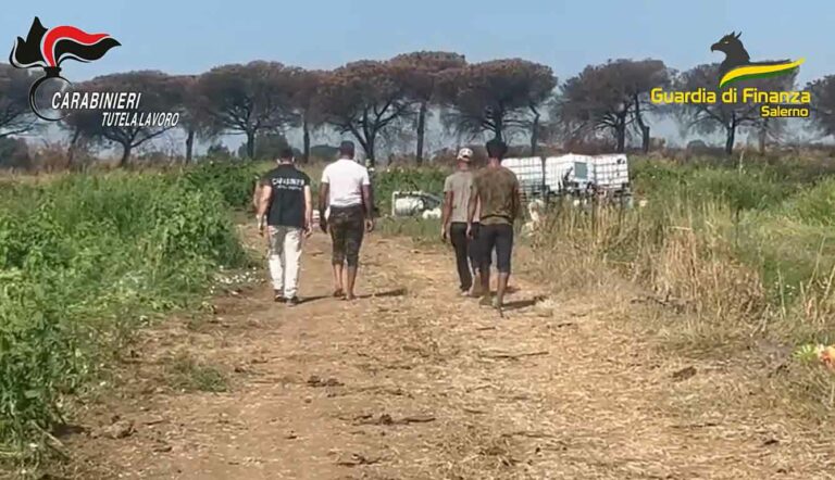 Arezzo, fermati migranti destinati ai campi: smascherato maxi traffico di ingressi illegali (video)