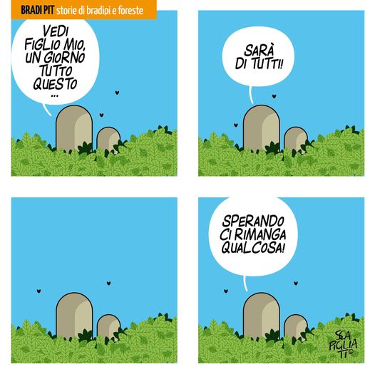FORSE!