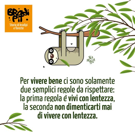 REGOLE...