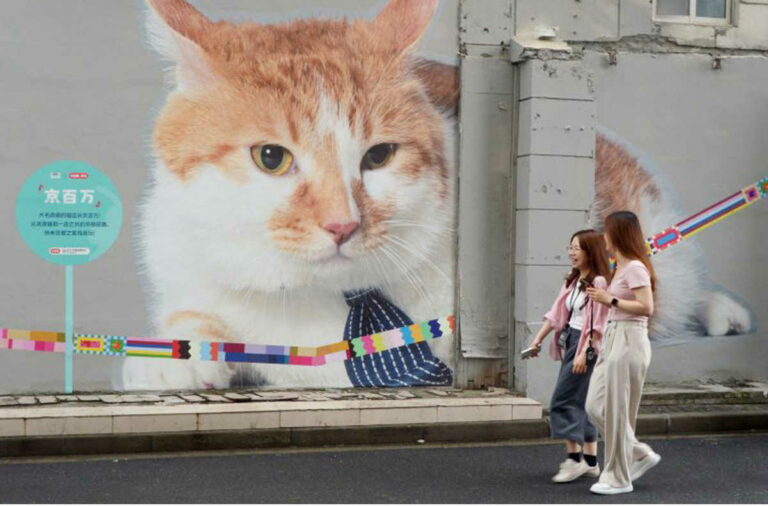 Shangai si colora di gatti