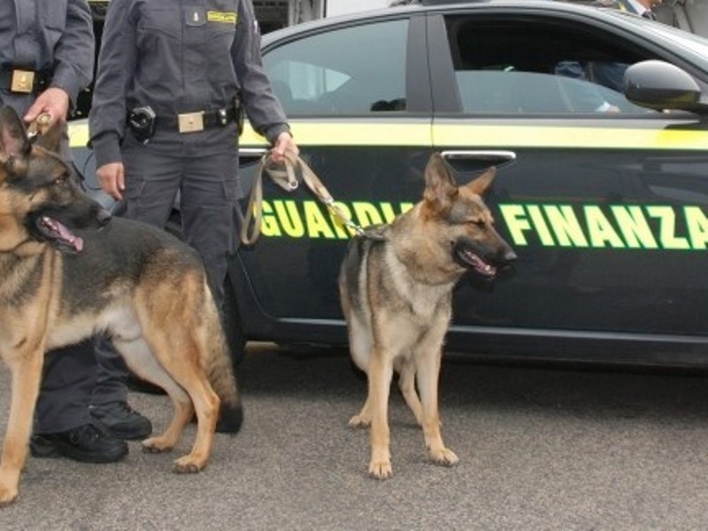 Unità _Cinofila_Guardia_di_Finanza__