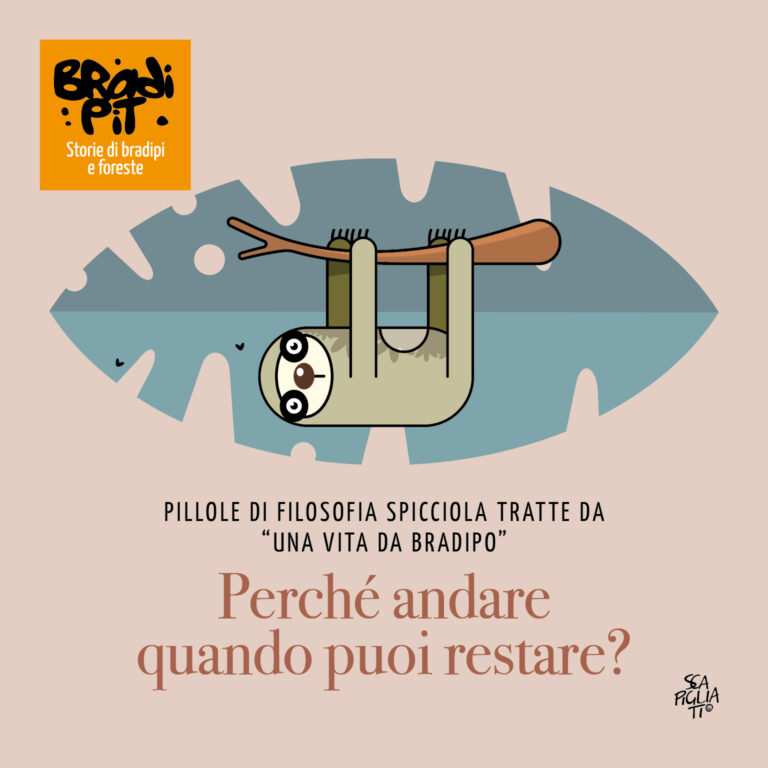 Per non fare confucione