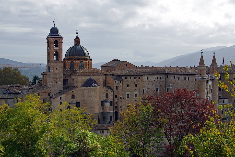 urbino-