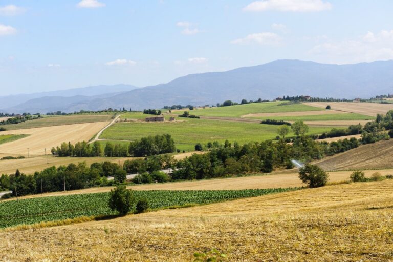 Agricoltura, la grande dimenticata