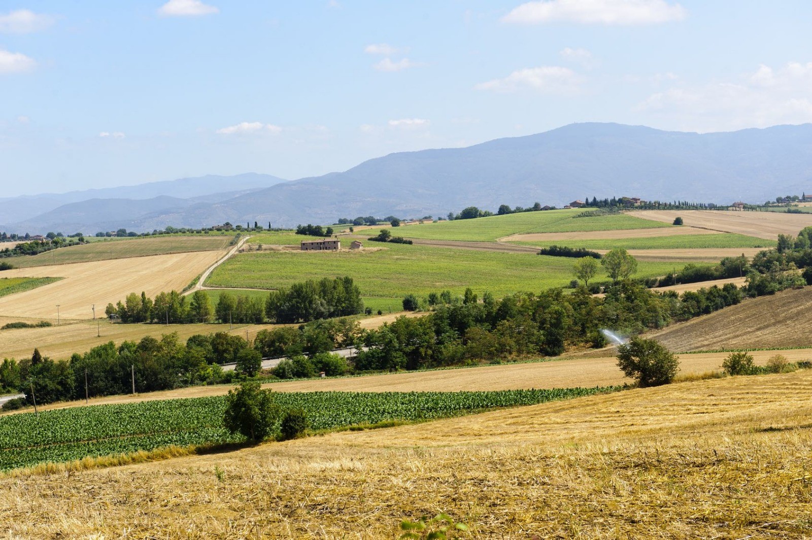 Agricoltura