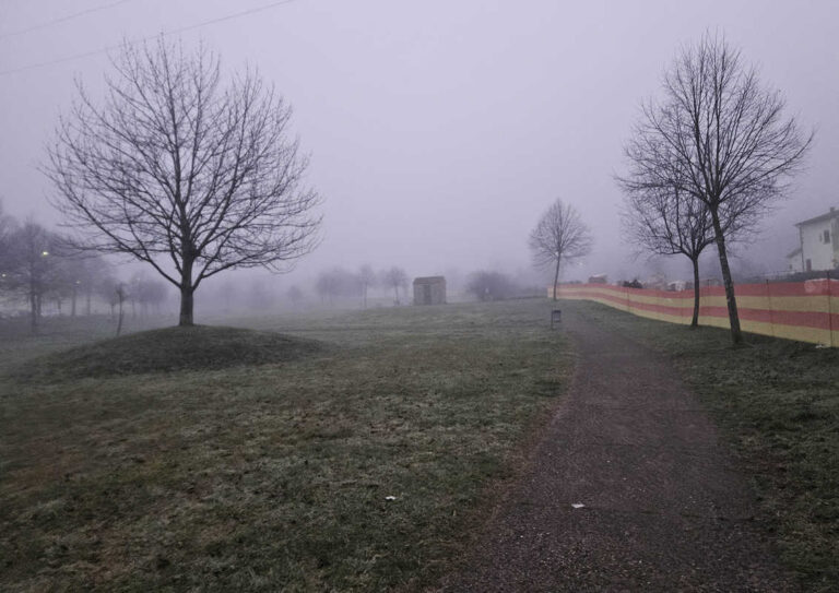 Parco Berlinguer: il paradiso dei cinghiali (e delle promesse mancate)