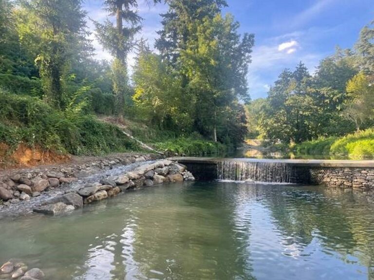 Un “ponte blu” sul fiume Arno: restituitta la continuità ecologica ai pesci
