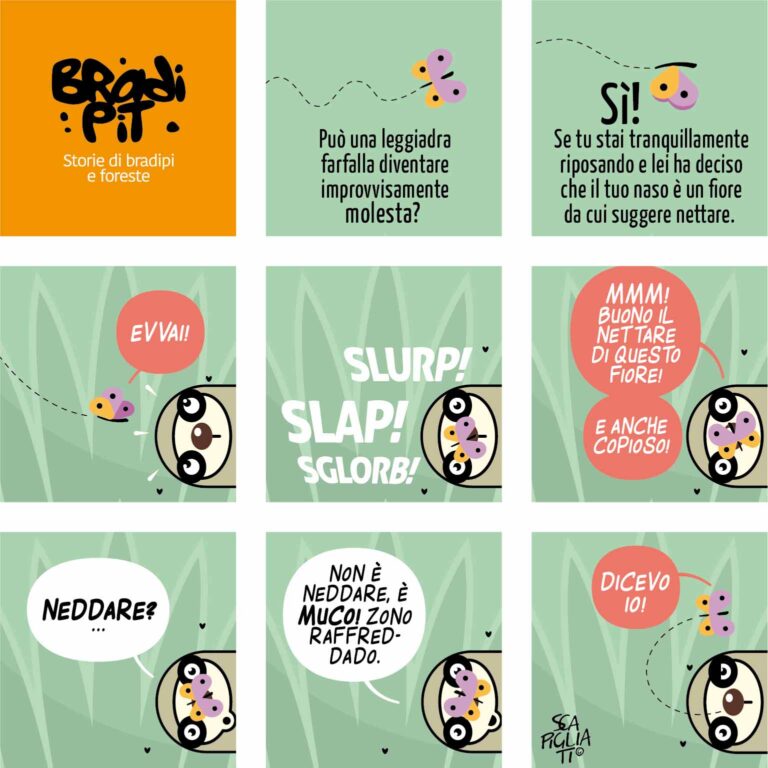 Nati sotto il segno del bradipo: buon primo maggio