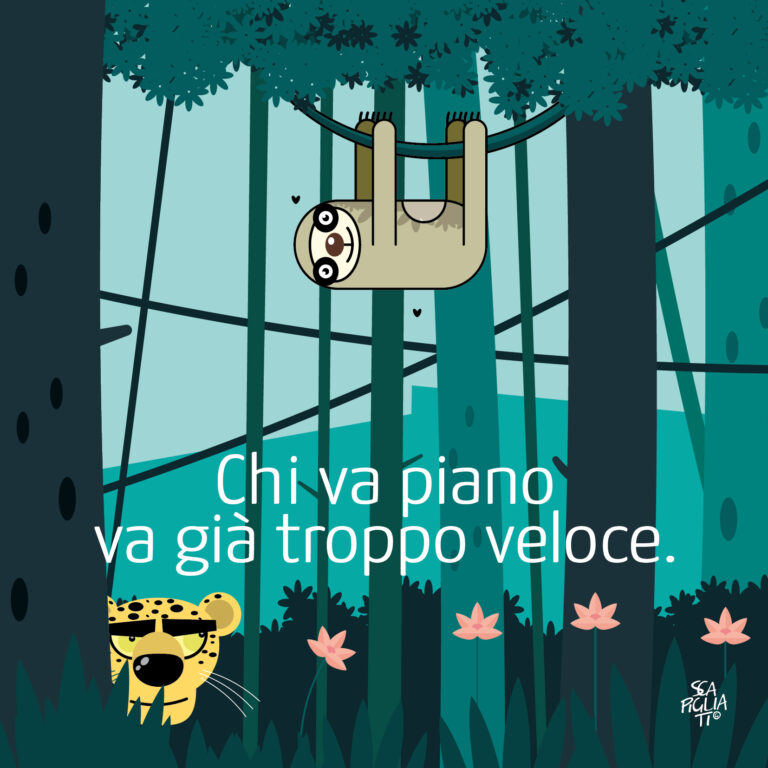 Constatazioni