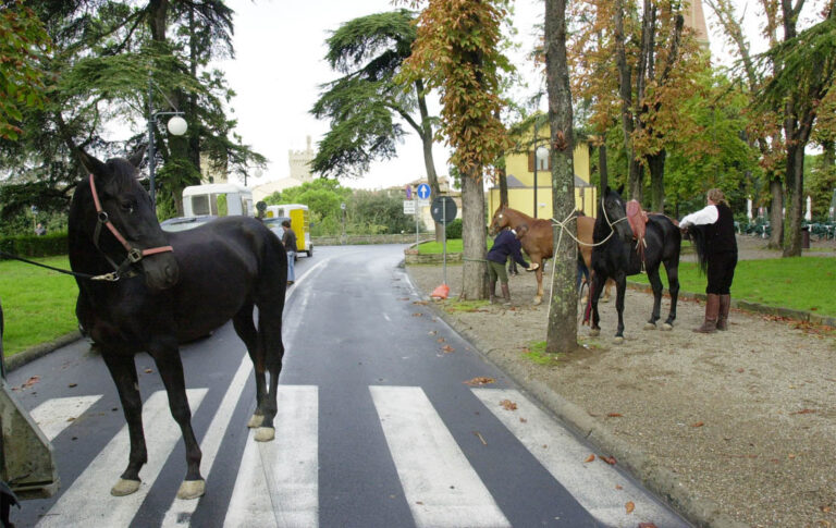 Domenica 18 Maggio: città a traffico variabile per eventi, sfilate e mercatini
