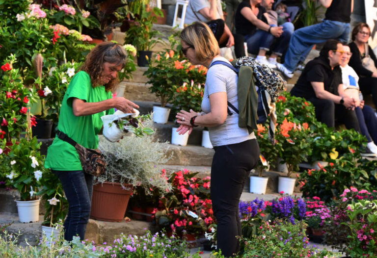 Cortona in Fiore, tre giorni tra colori e profumi: il centro storico si trasforma