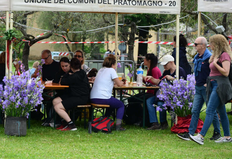 Castelfranco Piandiscò in fiore: racconto fotografico della Festa del Giaggiolo
