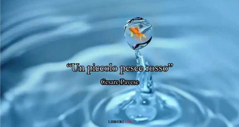 Il gran Pavese