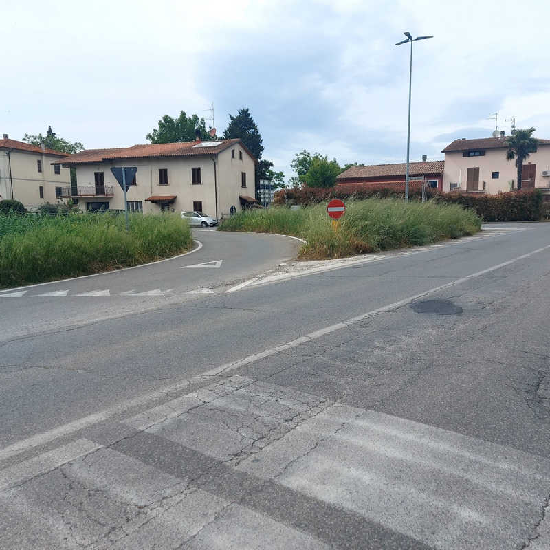 Quando l'incuria si fa pericolo2