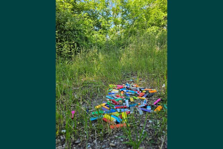 Poti, dove fioriscono gli accendini e la civiltà si perde nel bosco