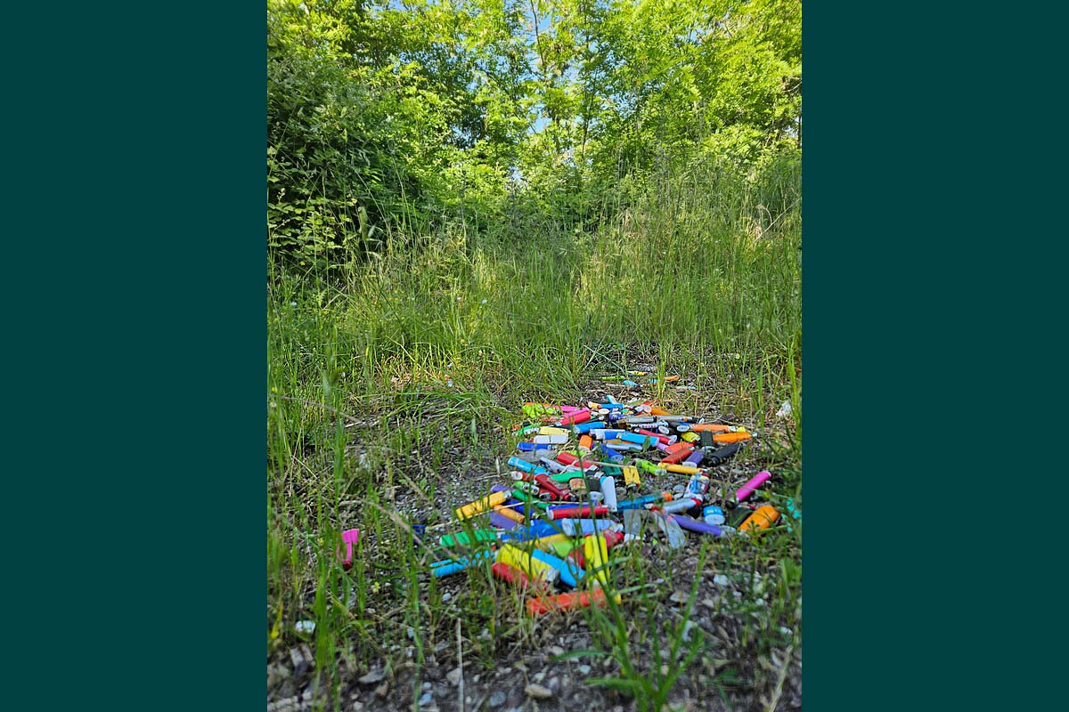 accendini scaricati sulla panoramica
