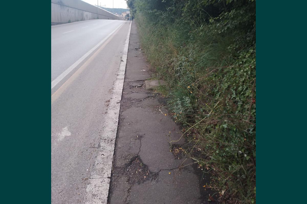 viale cittadini