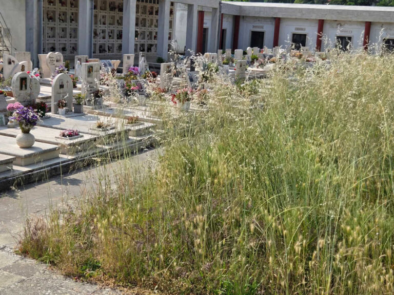 Benvenuti a ‘Necropolis’, la città dei morti… dimenticati (anche dai vivi)