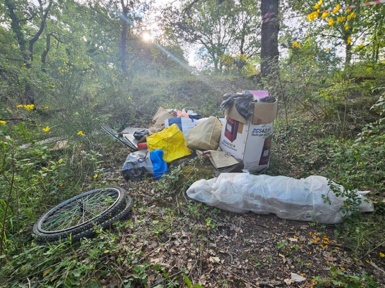 Nel dubbio, scarica nel bosco: Arezzo capitale dell’inciviltà creativa