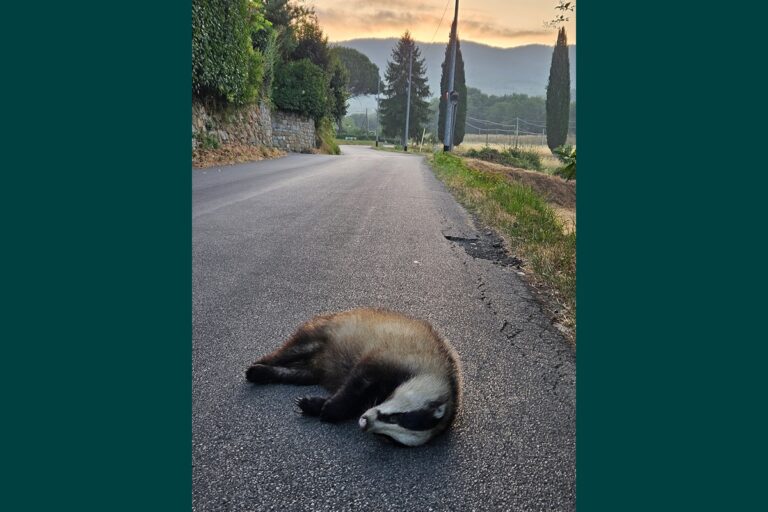 Un incontro mancato