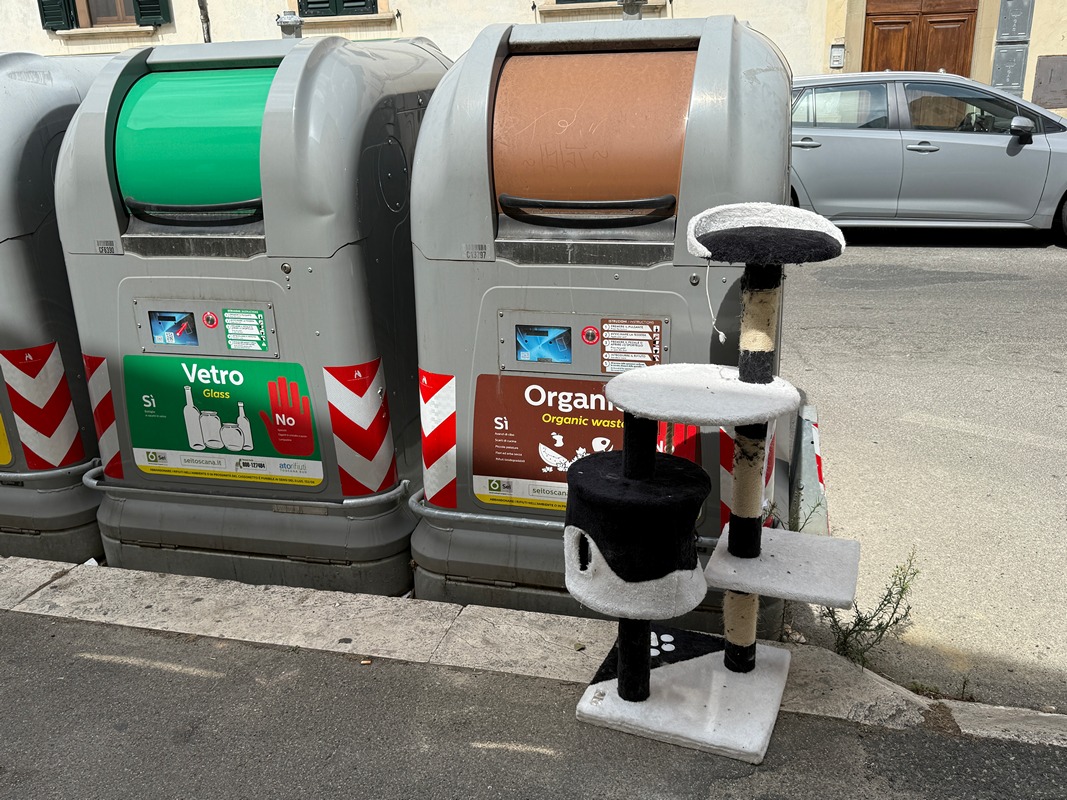 Favole dell'abbandono - La sofferenza del cane