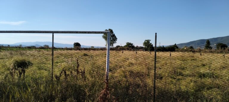 Michele Menchetti (M5S): “Campo sportivo di Frassineto, promessa tradita da oltre dieci anni. Ora servono risposte concrete”