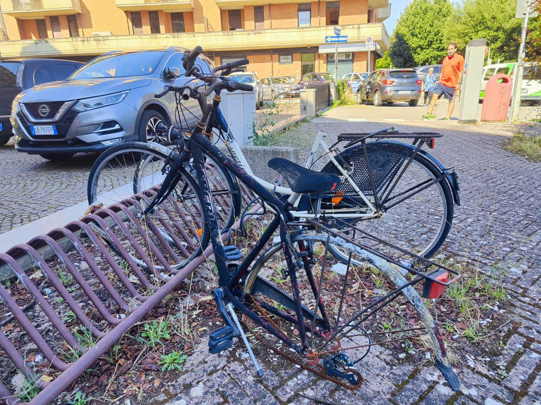 Bici abbandonate