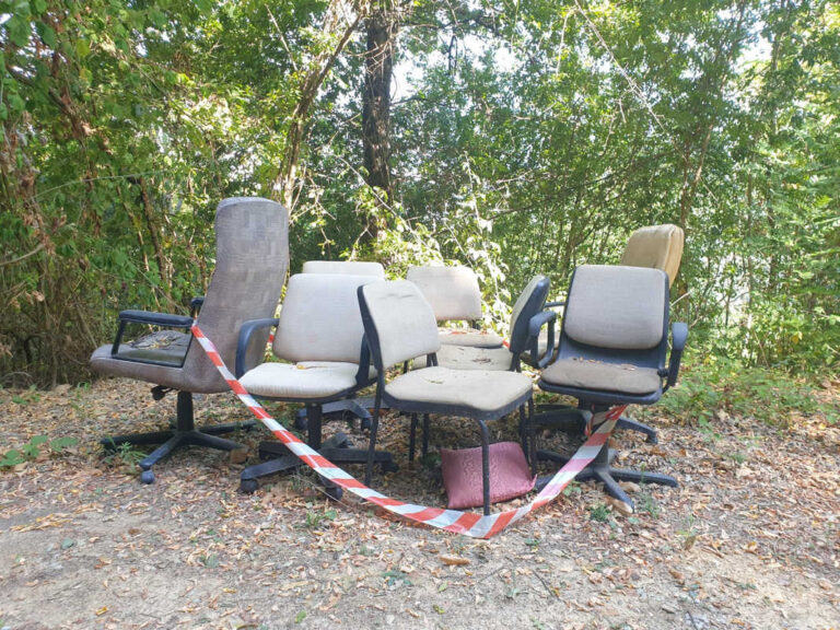 Open space nel bosco: il nuovo ufficio vista Lignano