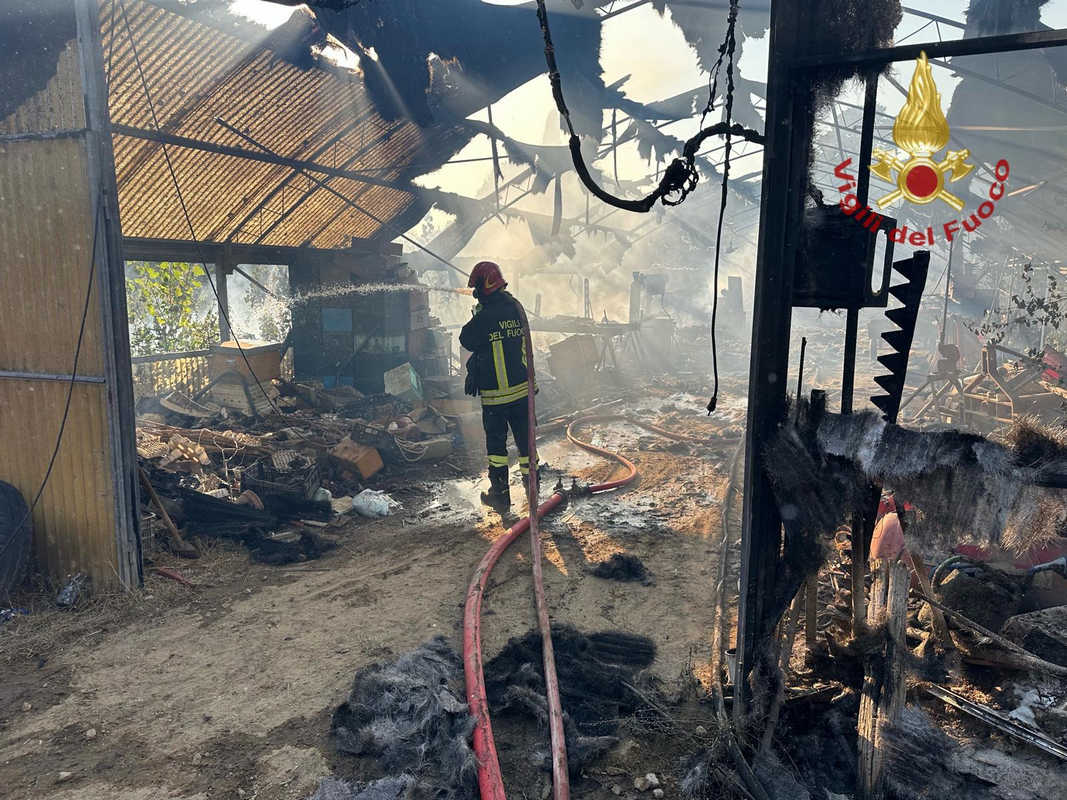 vigili del fuoco Cortona