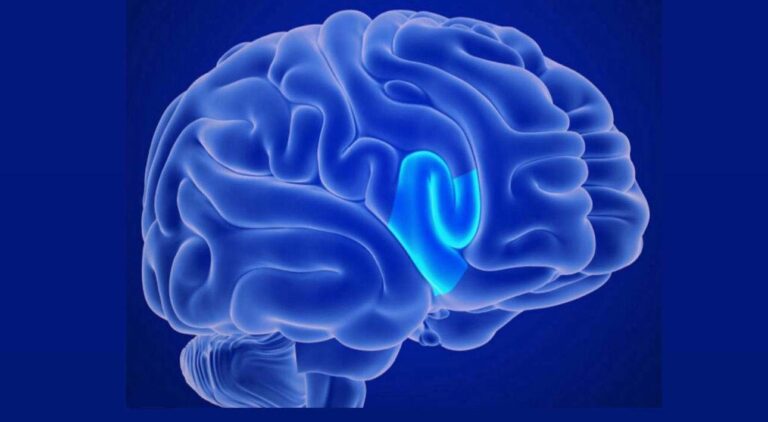 Demenza e Alzheimer: possono nascere a tavola