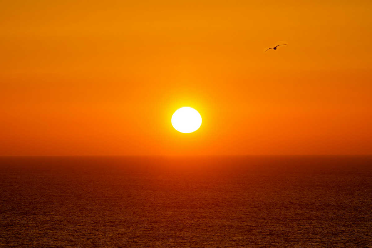 Sharm-