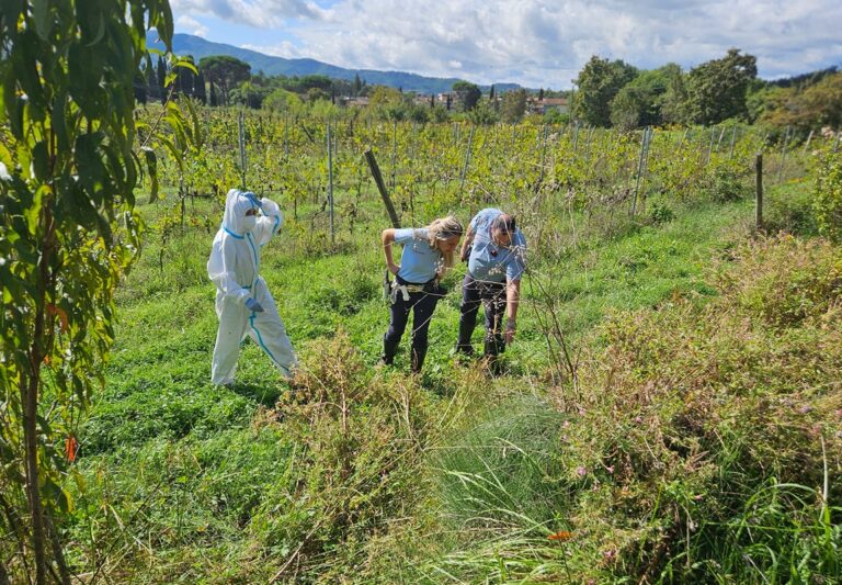 Arezzo, trovato cadavere in un sacco dell’immondizia. Quale testa di cazzo c’è dietro?
